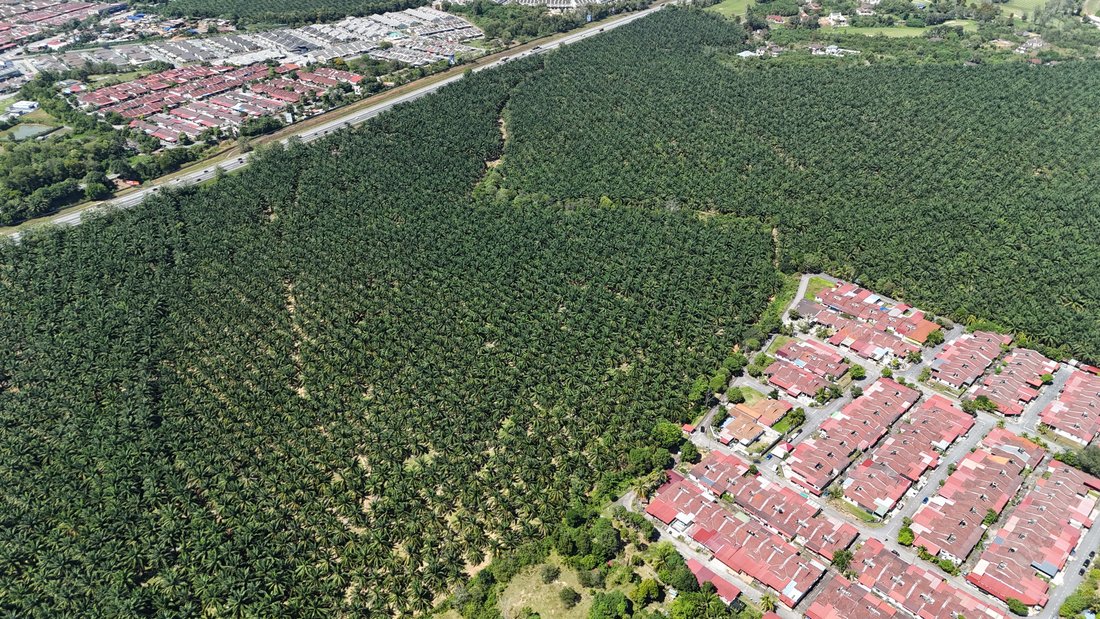 Land in Sungai Lalang, Kedah, Malaysia 1 - 18257475