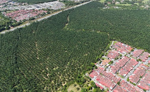 Land in Sungai Lalang, Kedah, Malaysia 1