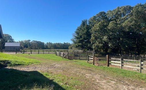 Farm Ranch in Middleborough, Massachusetts, United States 1