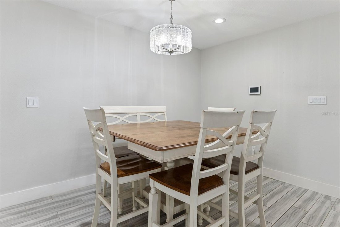 House in Tampa, Florida, United States 4 - 18250681