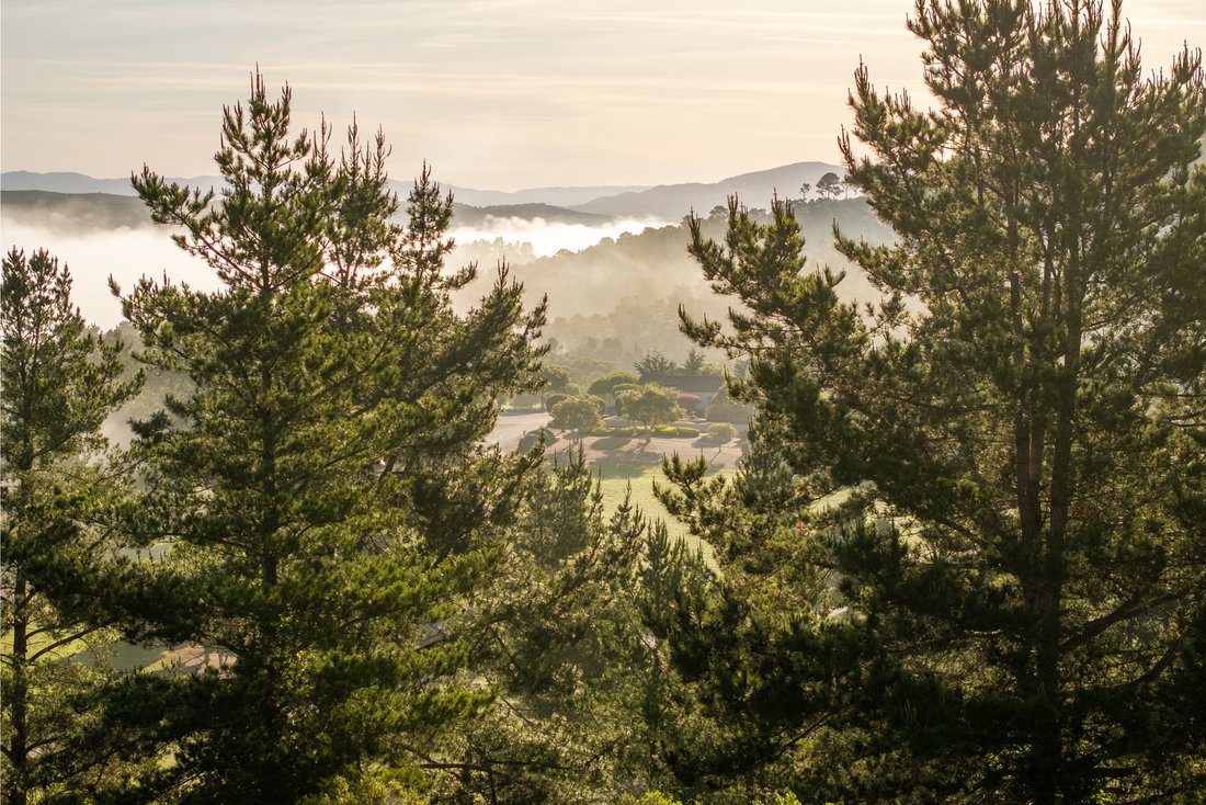 Land in Carmel-by-the-Sea, California, United States 2 - 18258069