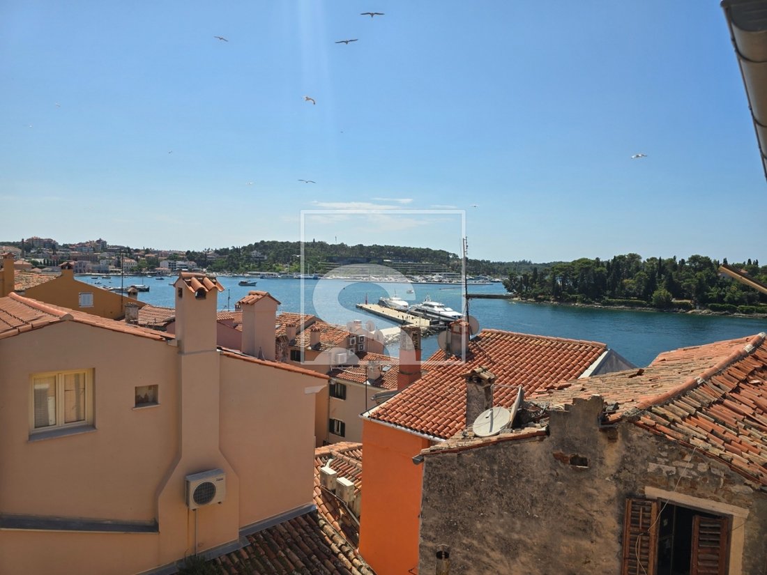 Apartment in Rovinj, Istria County, Croatia 1 - 18251782