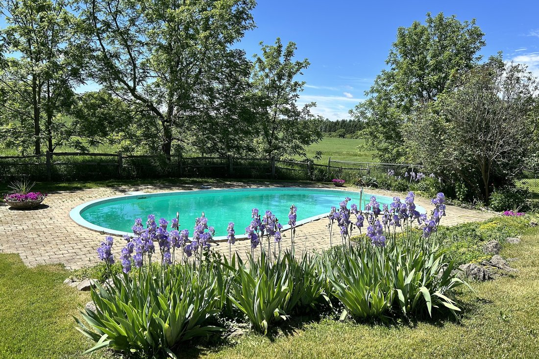 Farm Ranch in Nobleton, Ontario, Canada 3 - 17676533