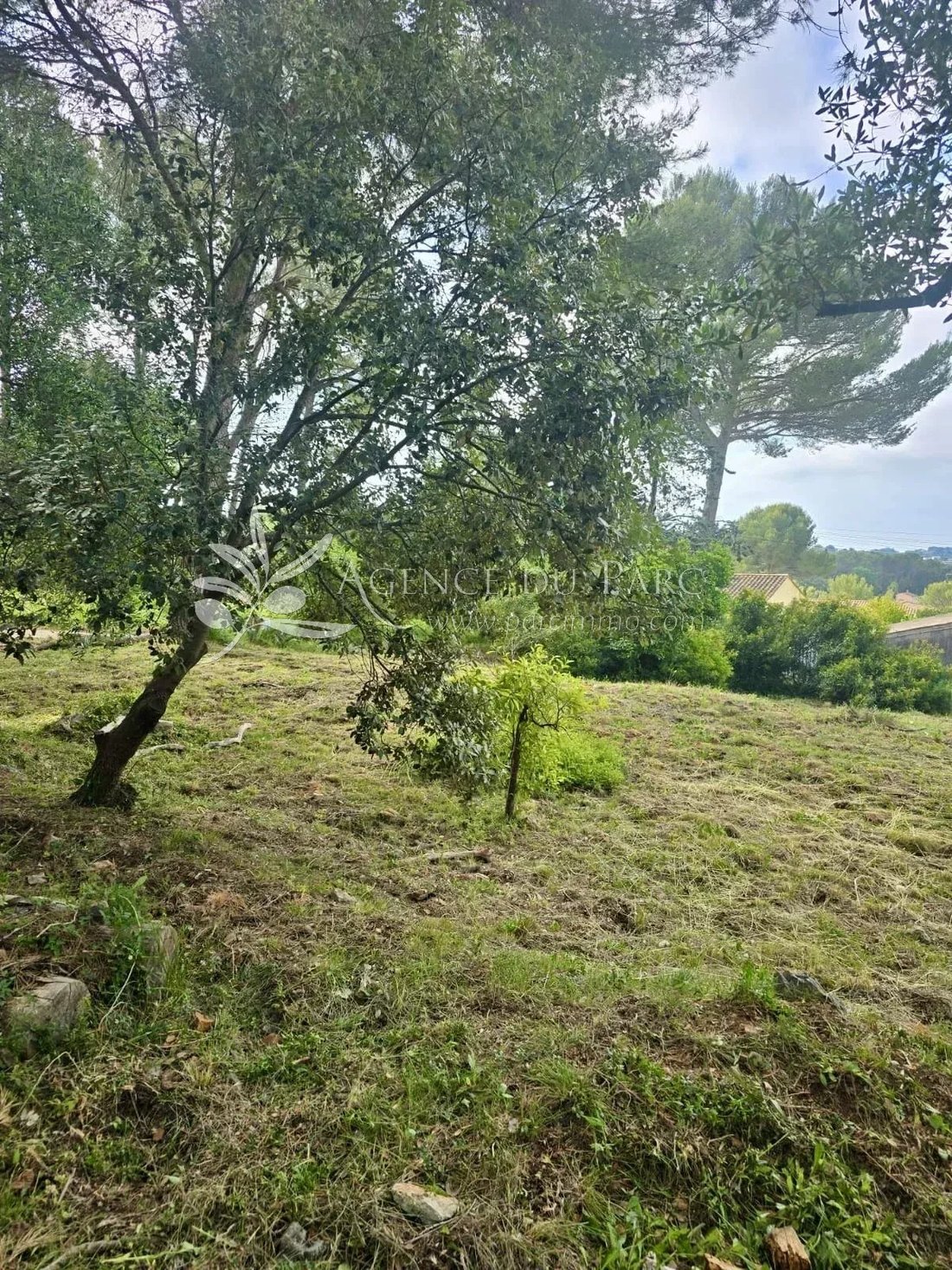 Land in Bois Fleuri-Chevre d'Or-Saint Philippe, Biot, France 4 - 17770254