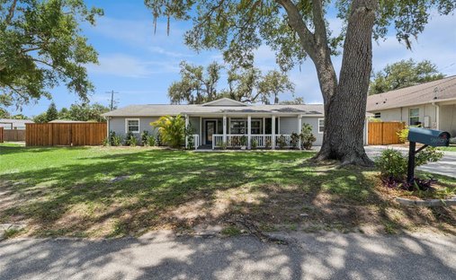 House in Tampa, Florida, United States 1