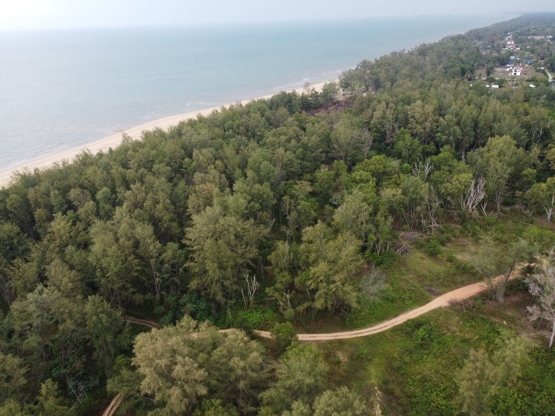Land in Kuala Rompin, Pahang, Malaysia 5 - 18257489