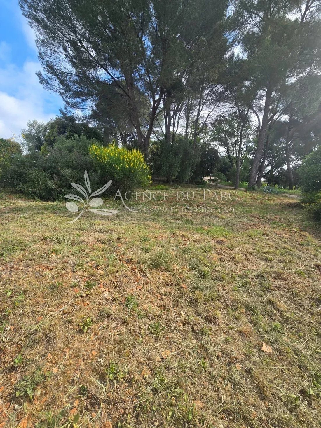 Land in Bois Fleuri-Chevre d'Or-Saint Philippe, Biot, France 3 - 17770254