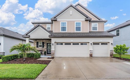 Casa en Wesley Chapel, Florida, Estados Unidos 1