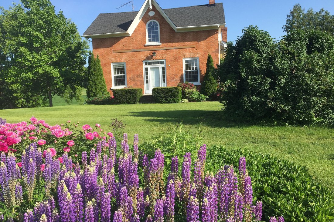 Farm Ranch in Nobleton, Ontario, Canada 1 - 17676533