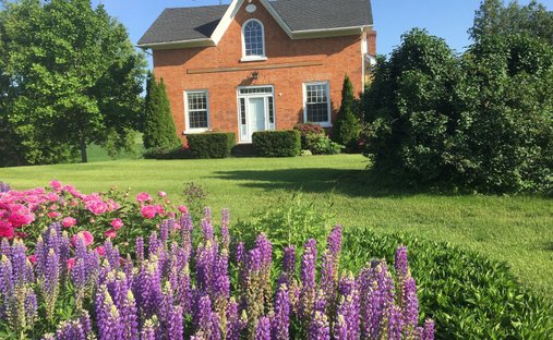 Farm Ranch in Nobleton, Ontario, Canada 1