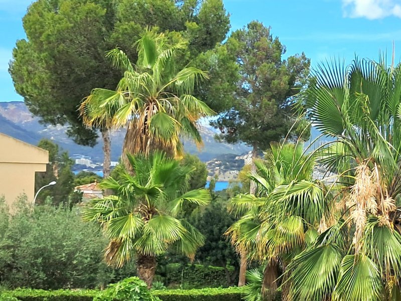 House in Rotes Velles, Calvia, Balearic Islands 3 - 18254946