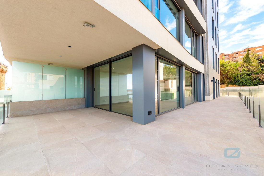 Apartment in Palma, Balearic Islands, Spain 4 - 18250684