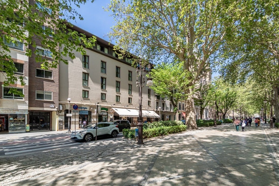 Apartment in Centro, Granada, Spain 1 - 18254885