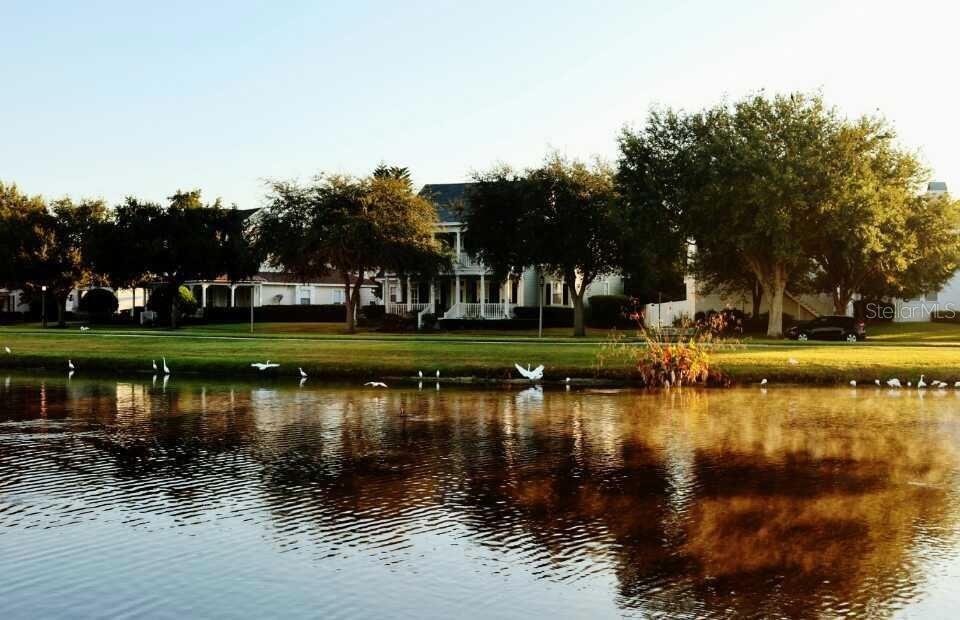 House in Kissimmee, Florida, United States 2 - 18250251
