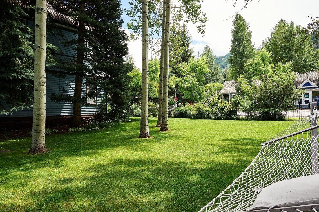 Land in Aspen, Colorado, United States 5 - 18258093