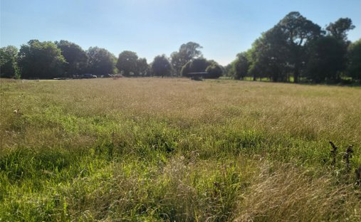 Land in Livingston, Texas, United States 1