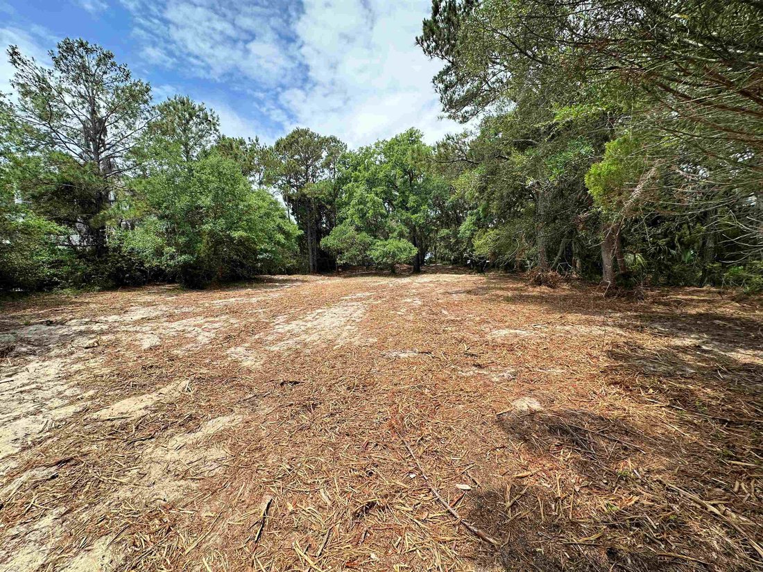 Land in Georgetown, South Carolina, United States 5 - 16867765