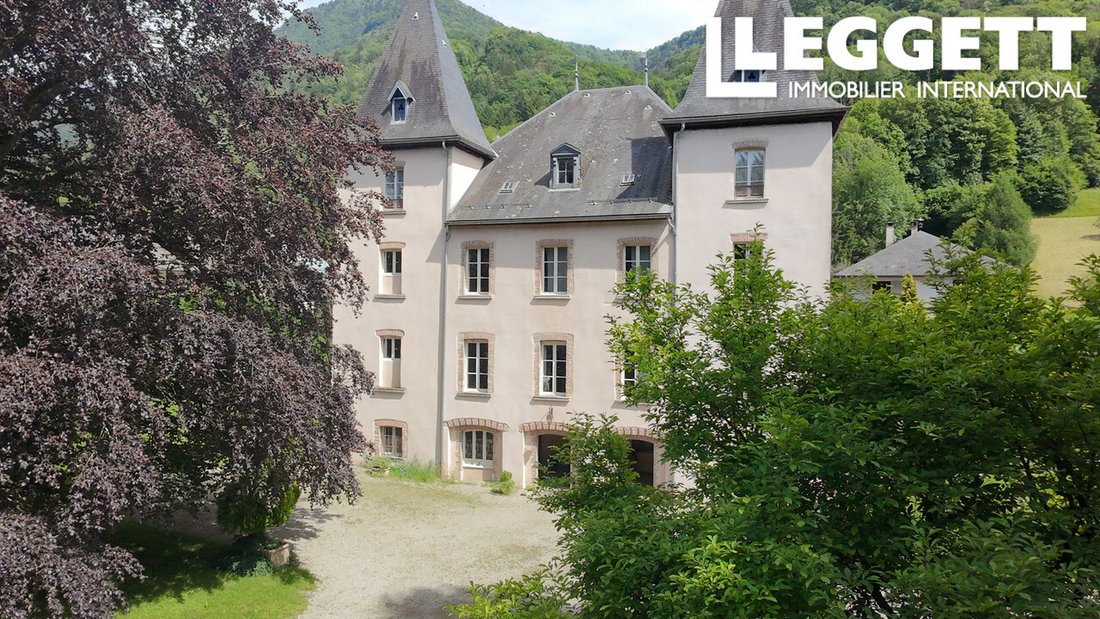 Castle in Villard-Leger, Auvergne-Rhône-Alpes, France 3 - 18255745