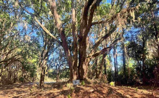 Land in Georgetown, South Carolina, United States 1