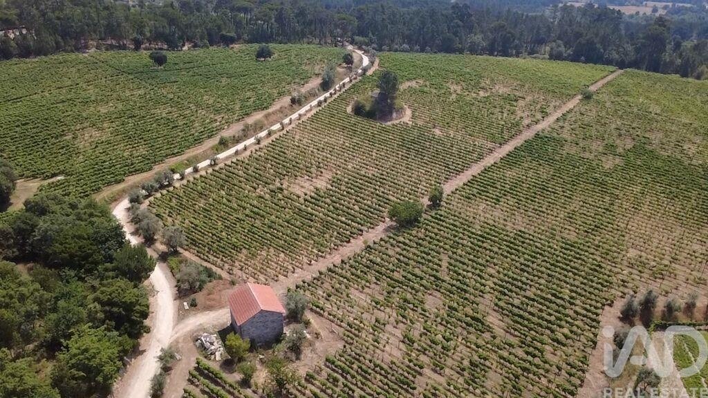 Farm Ranch in Carvalhal Redondo e Aguieira, Viseu District, Portugal 1 - 18258032