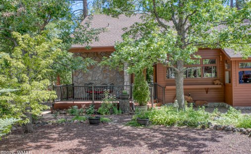 Farm Ranch in Pinetop, Arizona, United States 1