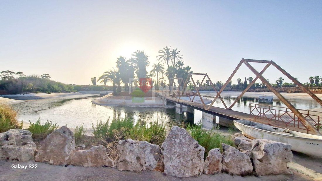 Land in ses Salines, Balearic Islands, Spain 1 - 18241850