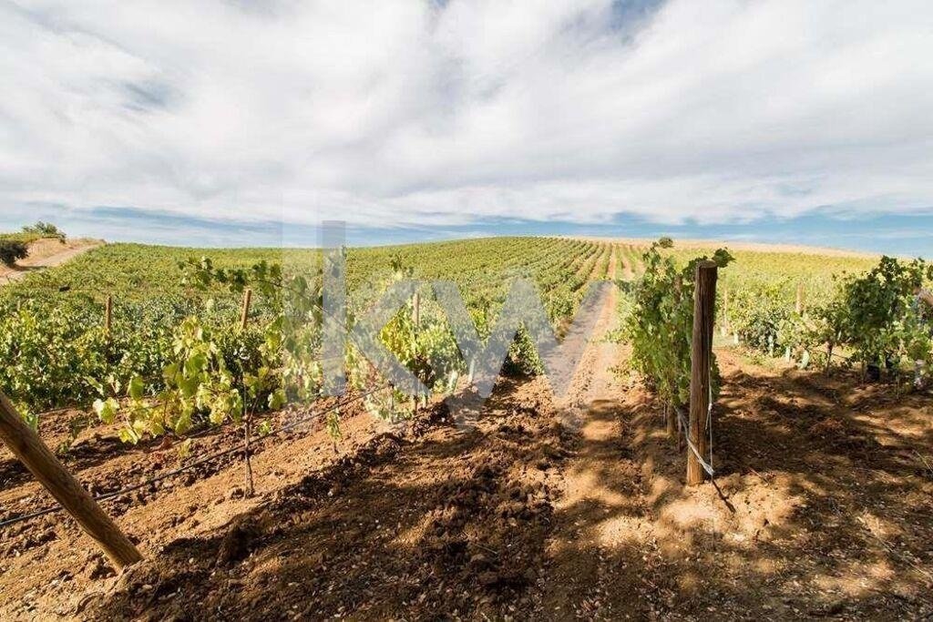 Farm Ranch in Vila de Frades, Beja District, Portugal 1 - 18250743