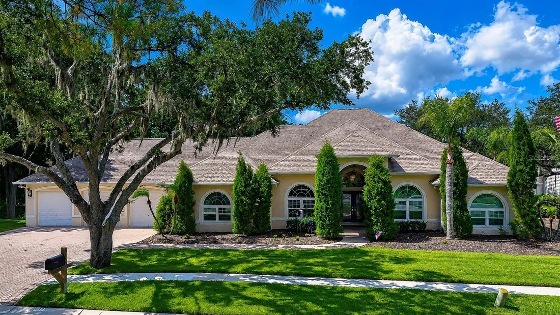 House in Valrico, Florida, United States 1 - 18254754