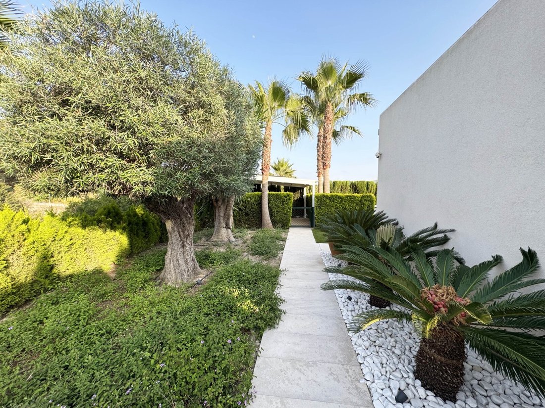 Villa in Orihuela, Valencian Community, Spain 5 - 15758517