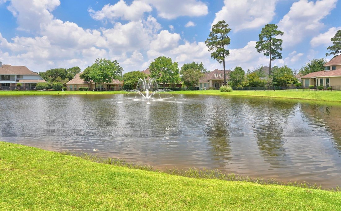 House in Spring, Texas, United States 3 - 18255293