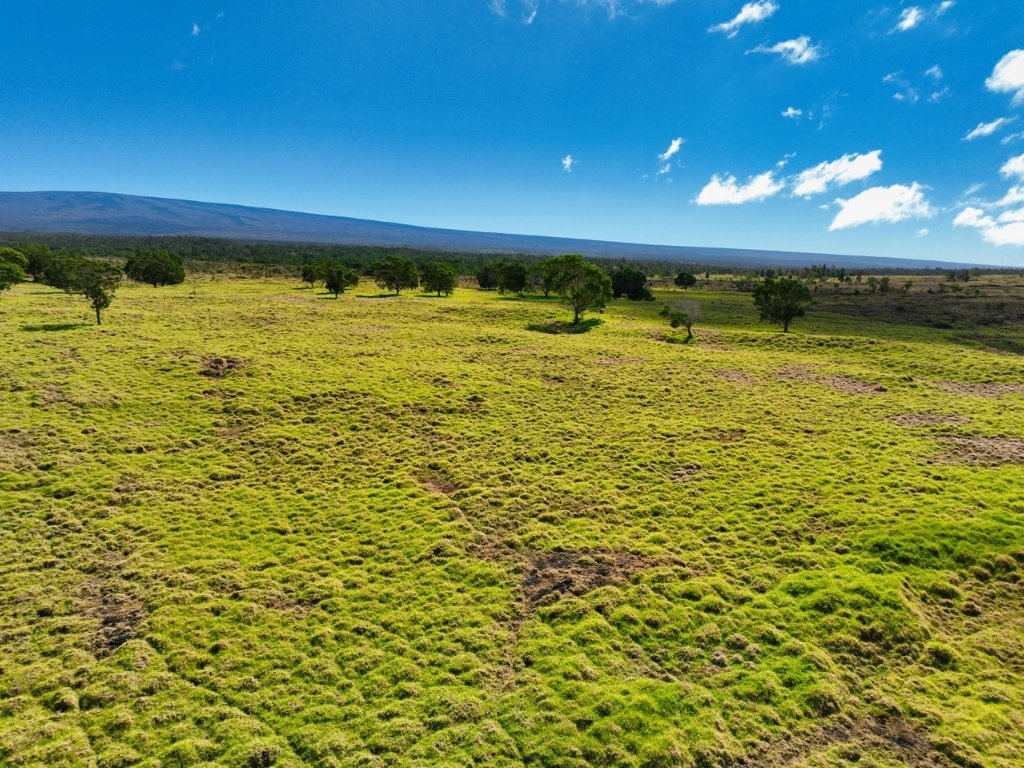Land in Captain Cook, Hawaii, United States 3 - 18254747