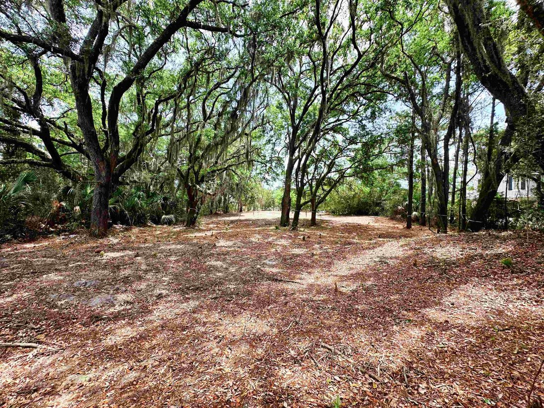 Land in Georgetown, South Carolina, United States 3 - 16867765