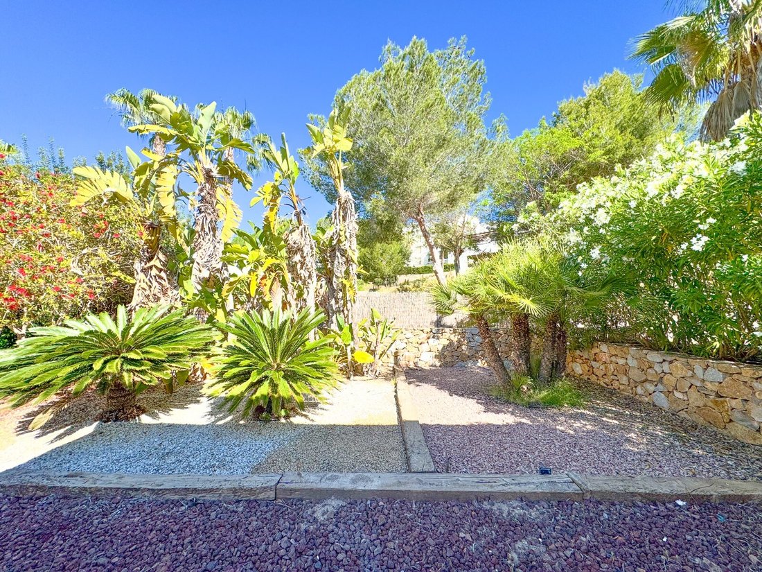 Villa in Orihuela, Valencian Community, Spain 4 - 17942837