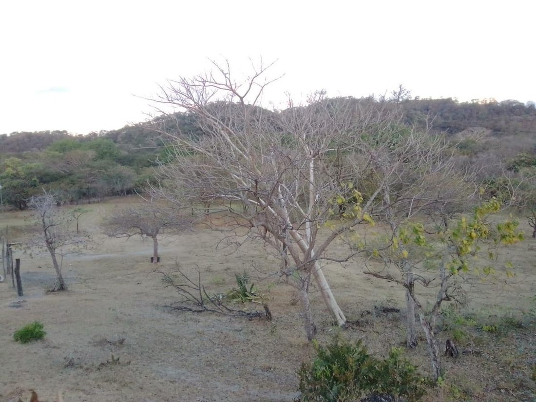 Farm Ranch in Florida de Nicoya, Guanacaste Province, Costa Rica 4 - 18252301