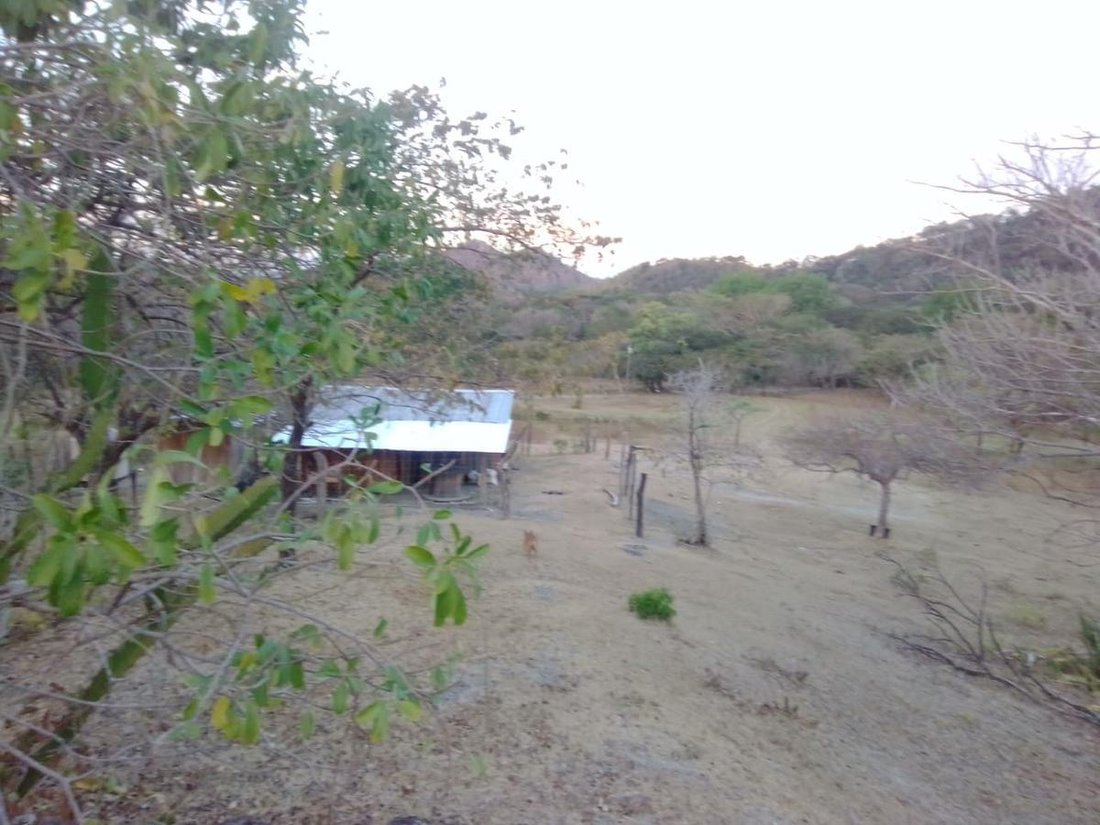 Farm Ranch in Florida de Nicoya, Guanacaste Province, Costa Rica 5 - 18252301