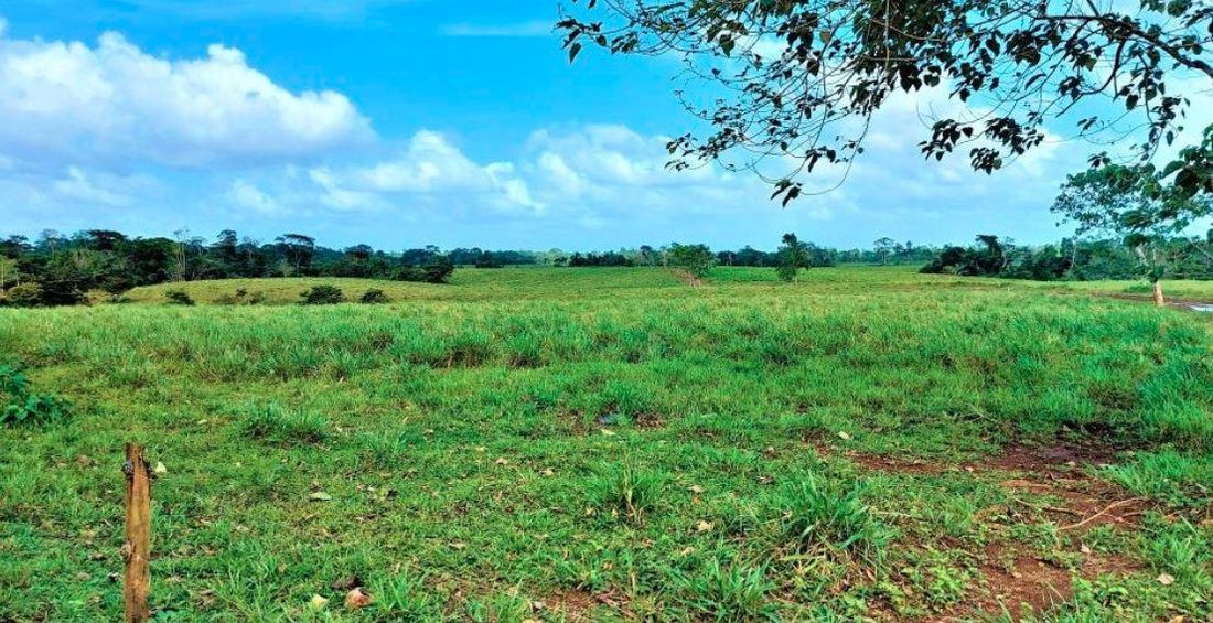 Farm Ranch in Guatuso, Los Chiles, Costa Rica 3 - 18252277