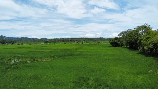 Terreno a Quepos, Provincia di Puntarenas, Costa Rica 4 - 18252349