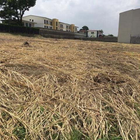 Terreno en Barreal, Heredia, Costa Rica 3 - 18252246