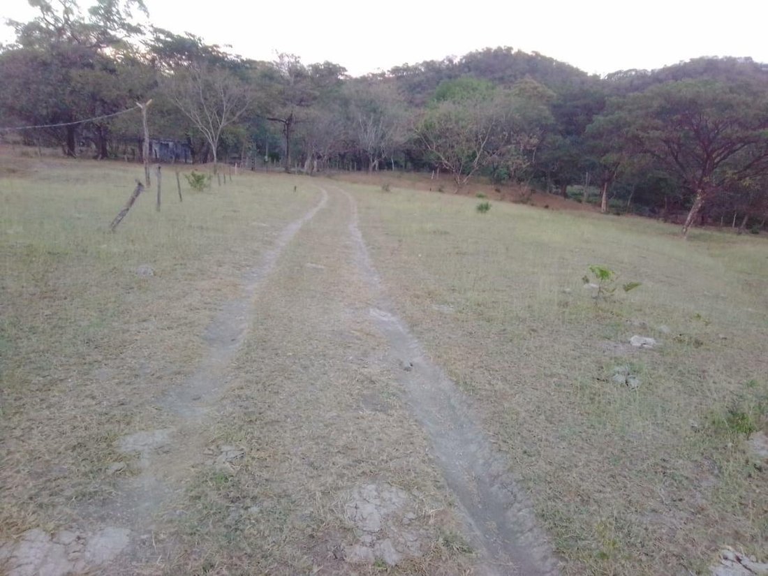 Farm Ranch in Florida de Nicoya, Guanacaste Province, Costa Rica 3 - 18252301