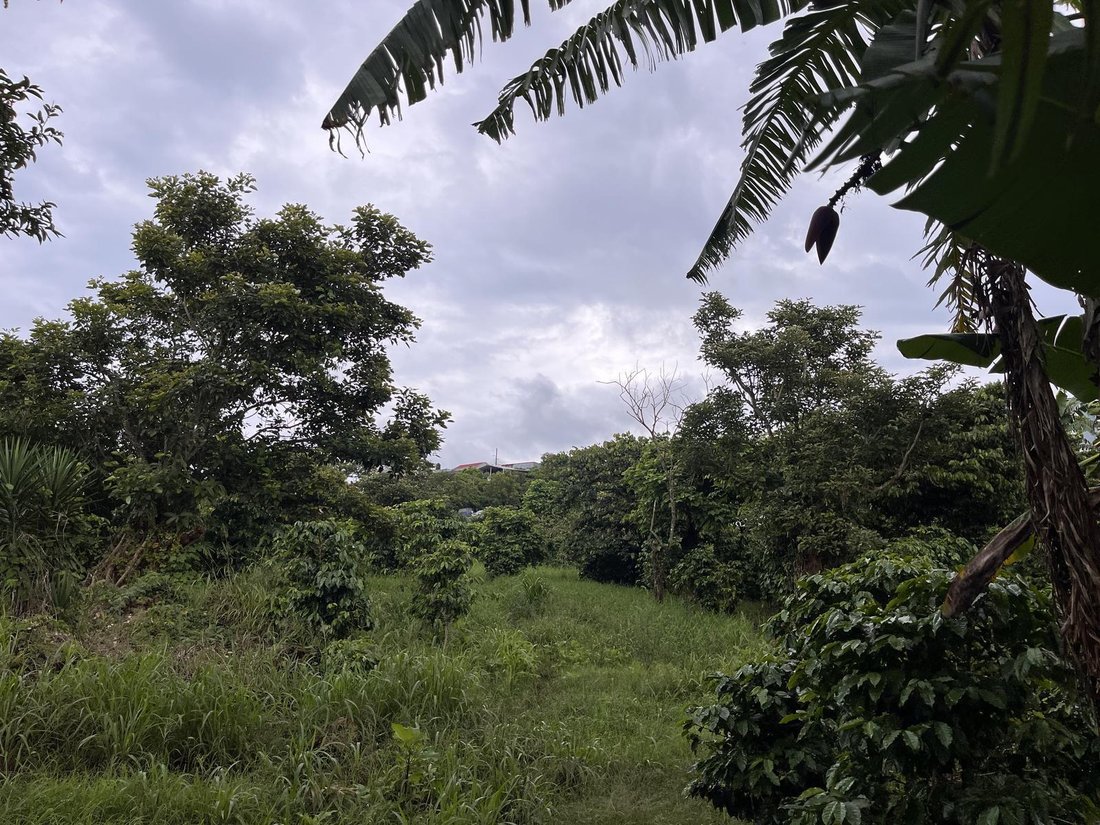 Terrain à San Ramón, Guanacaste, Costa Rica 2 - 18252316