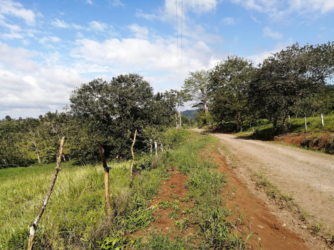 Azienda agricola a Cantone di Upala, Provincia di Alajuela, Costa Rica 2 - 18252267