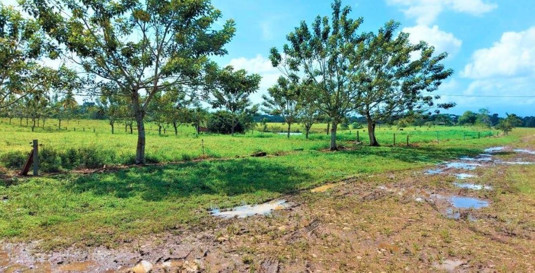 Farm Ranch in Guatuso, Los Chiles, Costa Rica 1 - 18252277
