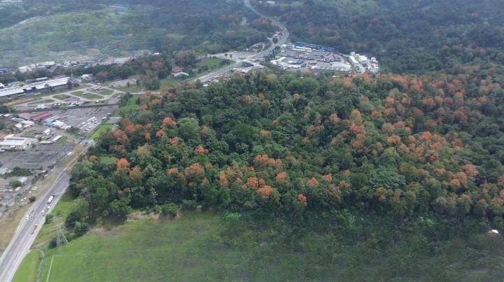 Terreno a Moín, Provincia di Limón, Costa Rica 2 - 18252307