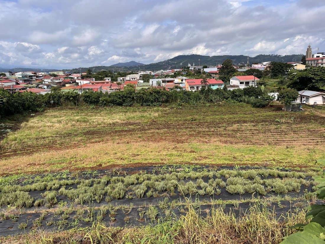 Land in San Ramón de los Palmares, Provinz Guanacaste, Costa Rica 2 - 18252314