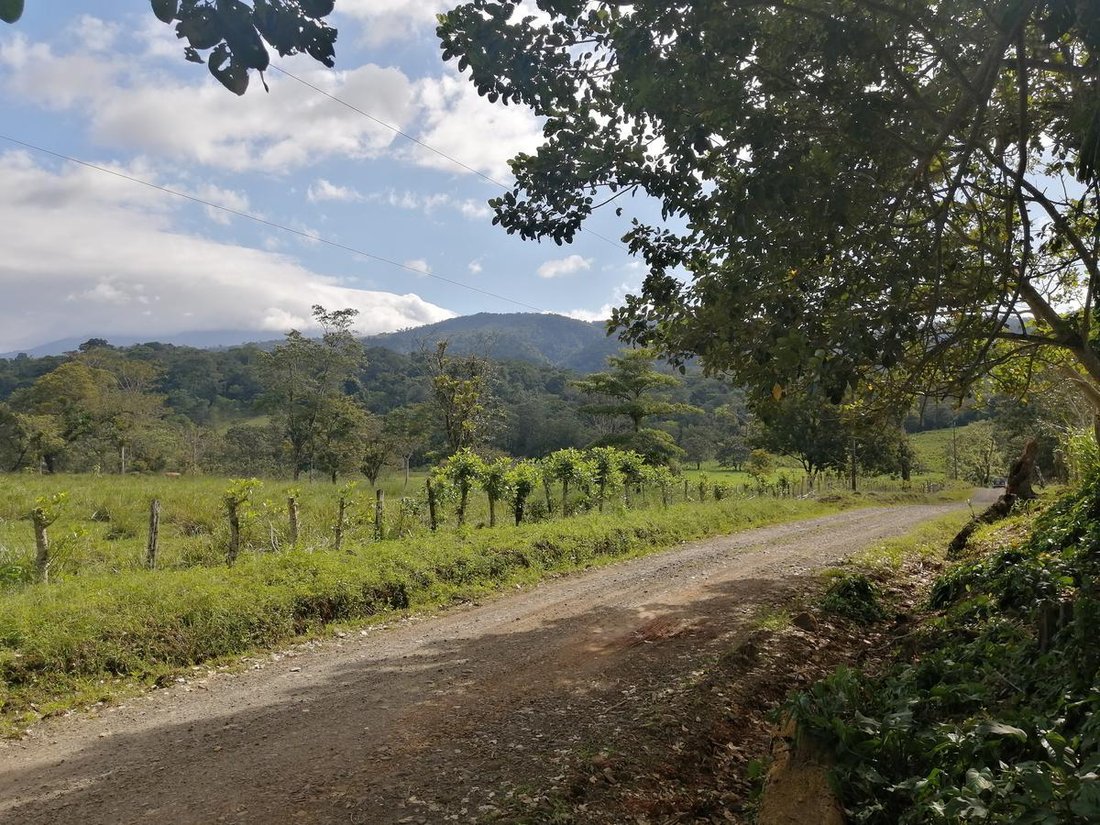 Azienda agricola a Cantone di Upala, Provincia di Alajuela, Costa Rica 5 - 18252267