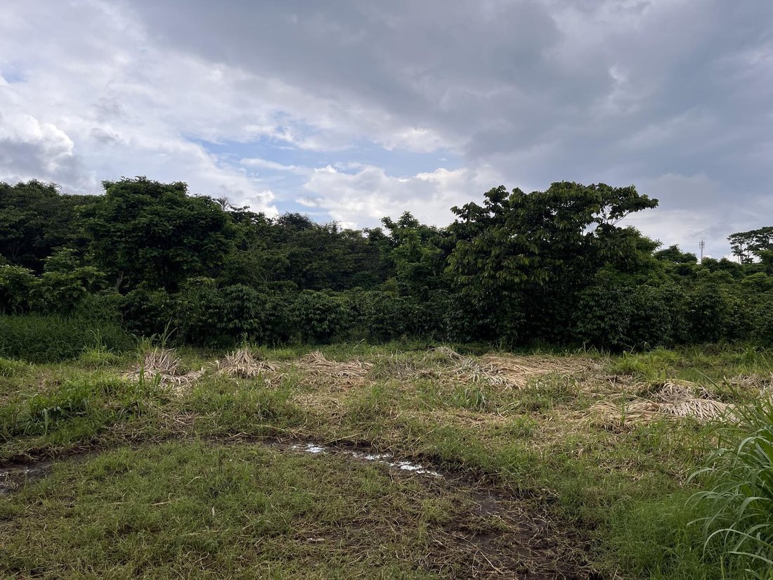 Terrain à San Ramón, Guanacaste, Costa Rica 1 - 18252316