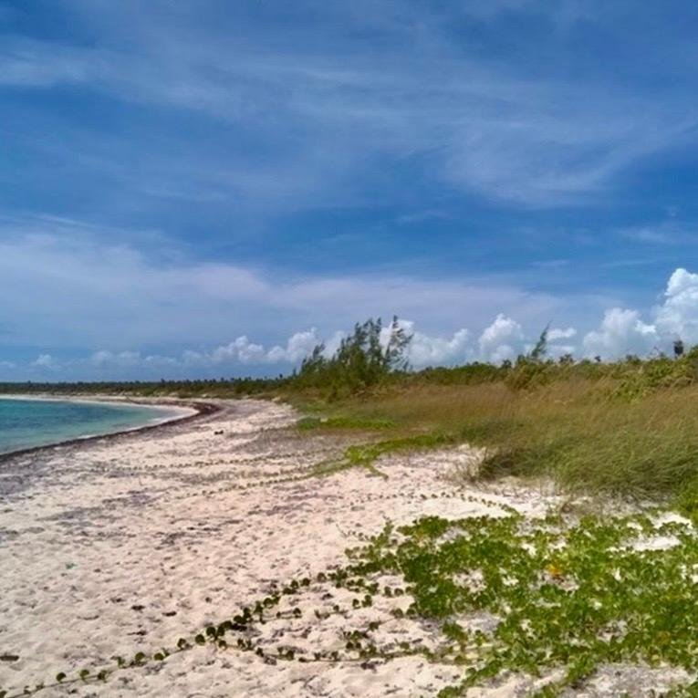 Land in Bower's Settlement, Long Island, The Bahamas 5 - 18252822