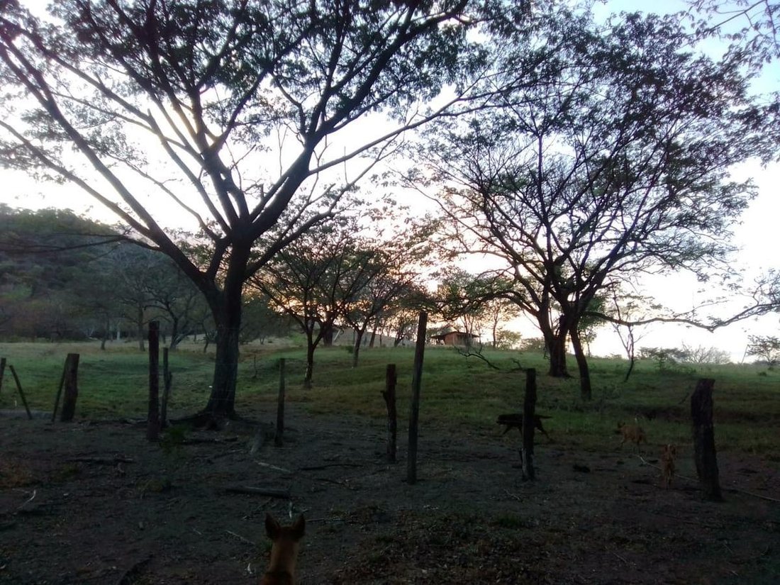 Farm Ranch in Florida de Nicoya, Guanacaste Province, Costa Rica 2 - 18252301