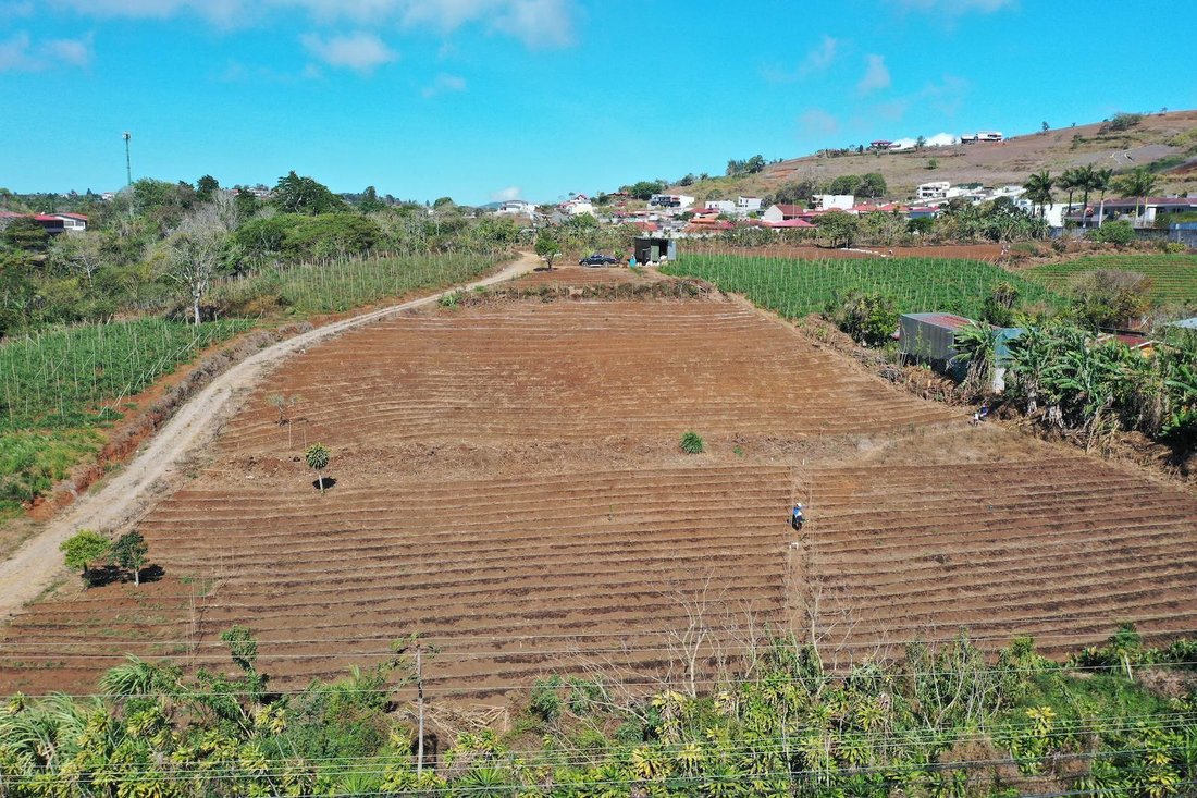 Land in San Ramón de los Palmares, Provinz Guanacaste, Costa Rica 3 - 18252314