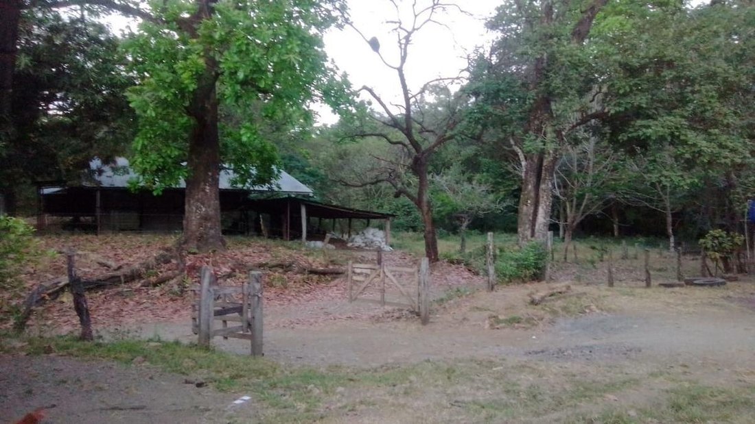 Farm Ranch in Florida de Nicoya, Guanacaste Province, Costa Rica 1 - 18252301